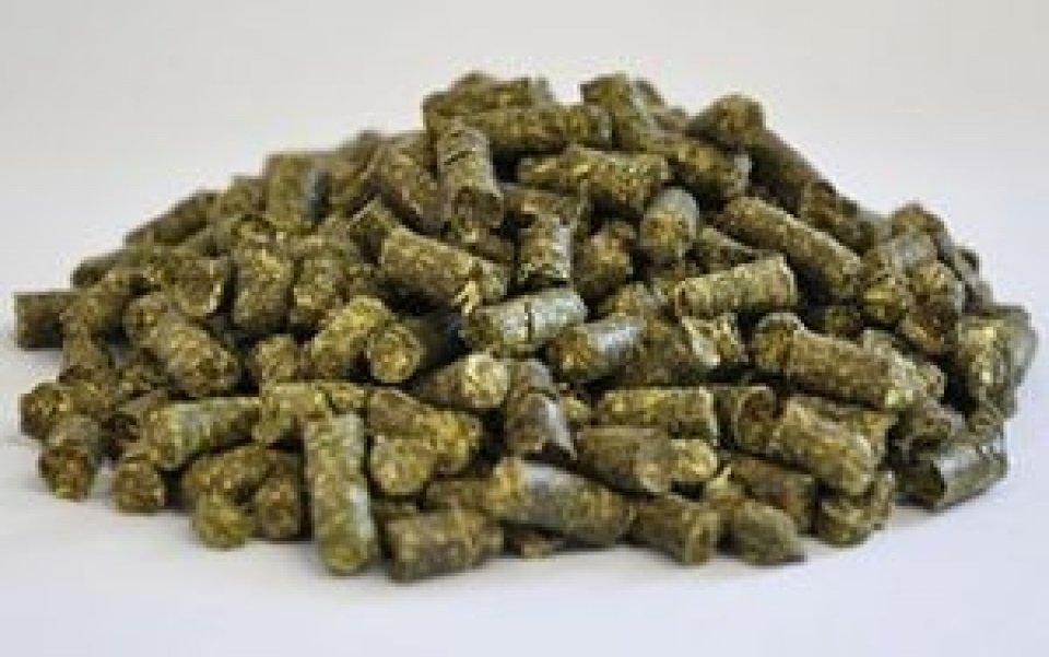 Dengie Alfalfa Pellets 20kg